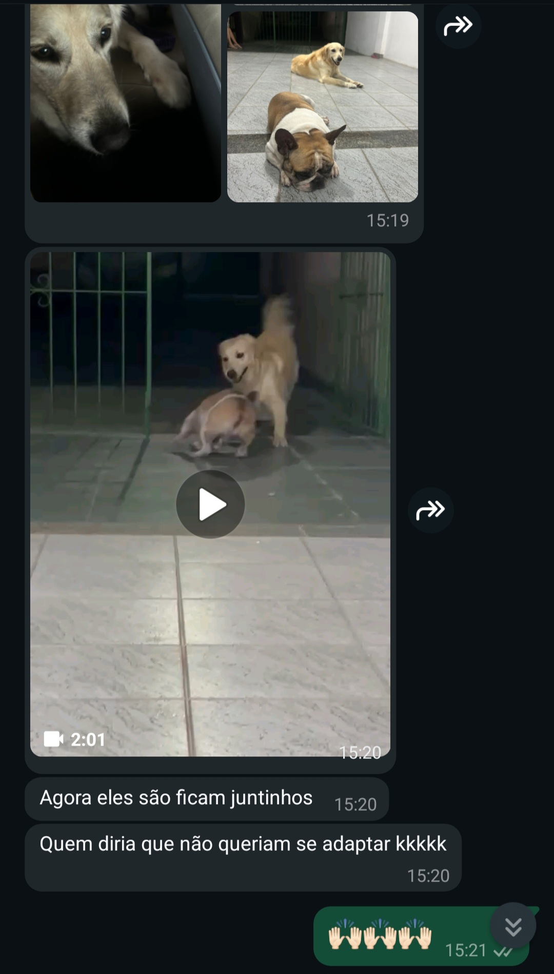 Screenshot_20250206_115343_WhatsApp
